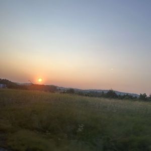 Meet your Posher, Ella